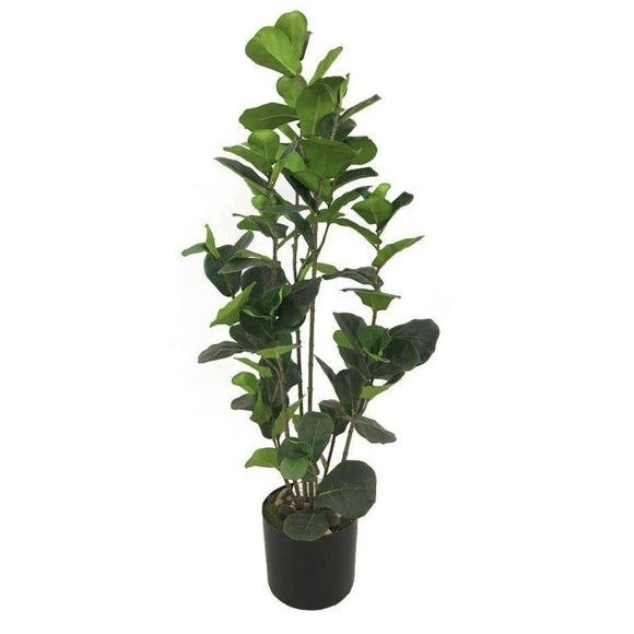 Faux Ficus Plant
