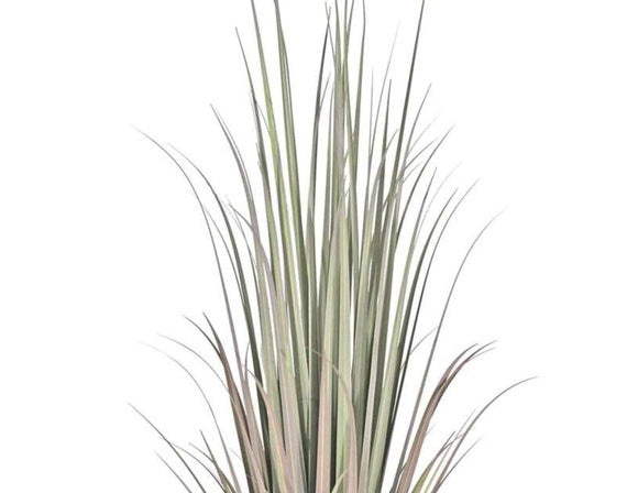 Faux Gladiolus Grass